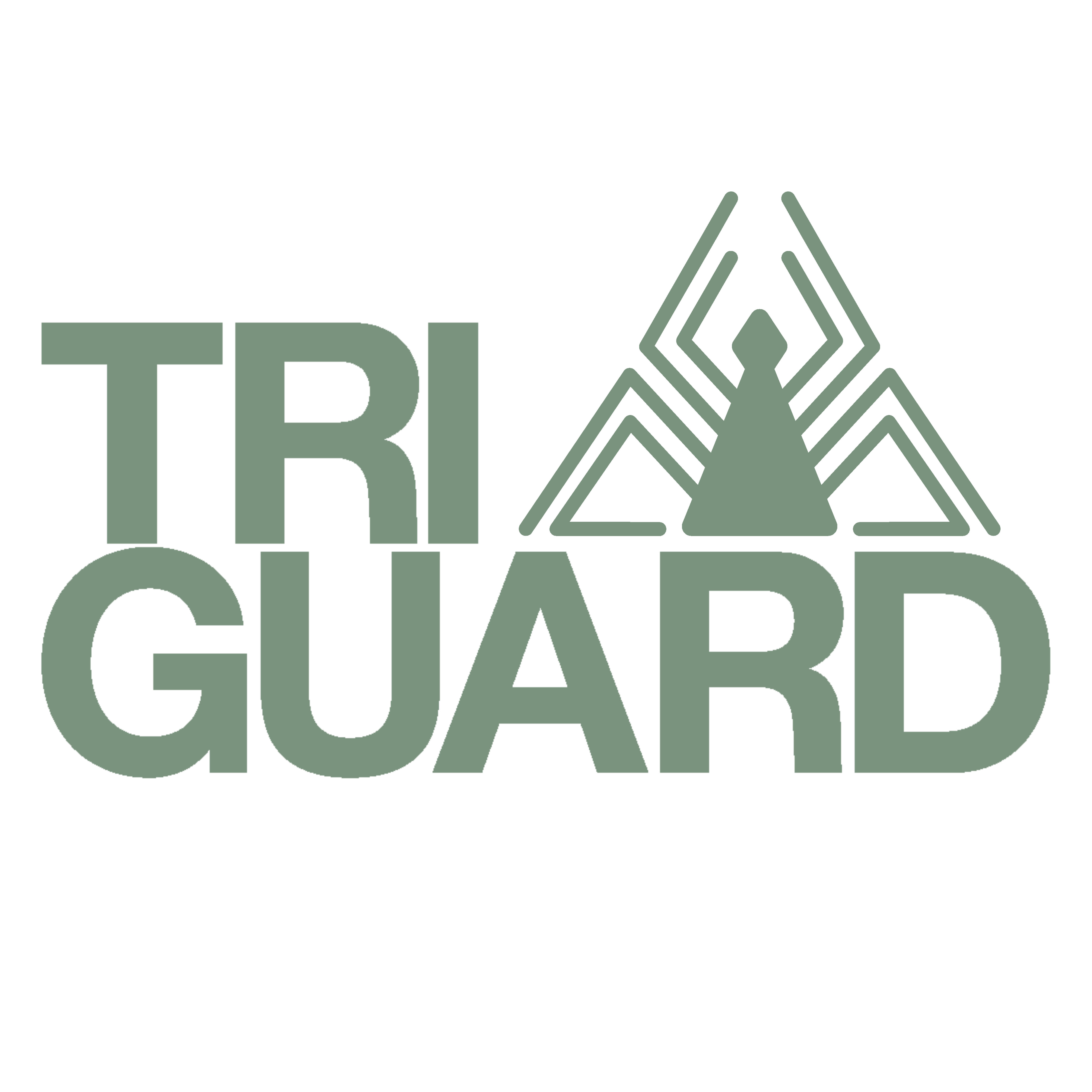 Tri Guard Team